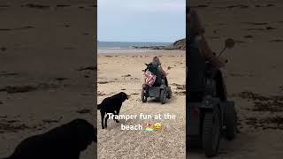 Tramper beach day 🏖️Cornwall shortsvideo shorts wheelchairlifestyle accessibledaysoutcornwall [upl. by Inol]