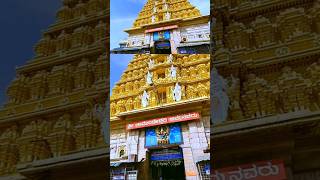 Mysore Dasara Begins Today at chamundeshwari temple youtubeshorts mysoredasara [upl. by Artinek]