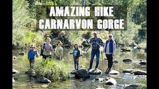 Carnarvon Gorge walking trails [upl. by Oberon]