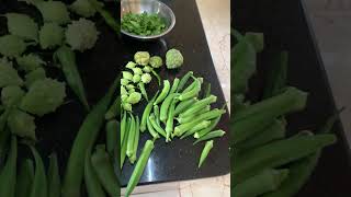 Harvest🏡  Home Growns🌶️🫑🌽 harvest homegrown organic growyourownfood shorts youtubeshorts [upl. by Onia]