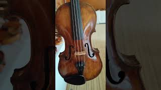 Lot 90 violin labelled Thomas Balestrieri  Amati Auction UK  24th July 2024 shorts [upl. by Lazos]