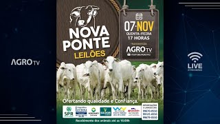 NOVA PONTE LEILÕES AO VIVO  NOVA PONTE MG [upl. by Ikairik839]