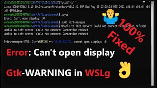 FixedWSLg GtkWarning cannot open display 0 Windows 11 [upl. by Anahsat]