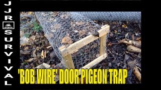 Bob Wire Door Pigeon Trap [upl. by Ynatirb441]