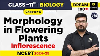 Class 11 Biology Chapter 5  Morphology in Flowering Plants  Inflorescence  L36  Shubham Sir [upl. by Elsa1]