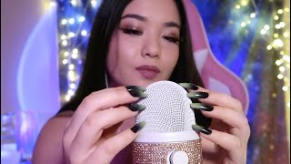 ASMR ✨ MIC SCRATCHING at 100 Sensitivity for One Hour Looped  ASMRmas Day 5 [upl. by Nagaem]