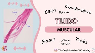 Tejido Muscular Sesión 1 [upl. by Noiro150]