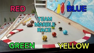 MARBLE TEAM RACE CHAMPIONSHIP PICK YOUR COLOUR [upl. by Aindrea108]