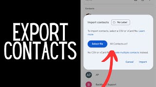 How To Export iPhone Contacts To Google Account  Full Guide [upl. by Lelia]