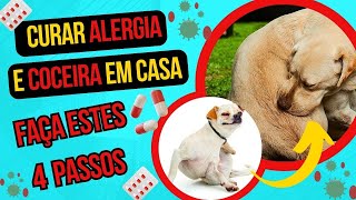 CACHORRO COÇANDO IRRITADO COM ALERGIA O QUE FAZER EM CASA AGITADO SALIVANDO COM COCEIRA NO CORPO [upl. by Llerrot766]