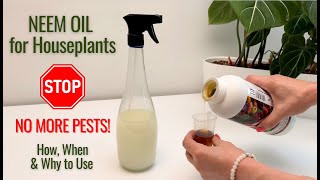 ✅ How to Use NEEM OIL for Pest Control Natural Houseplant Care Tips for PESTFREE Plants [upl. by Hteazile]