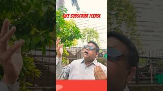 Yadon ki barat nikali haiKishor Kumar songold is goldRakesh Singh shot viral [upl. by Safire]