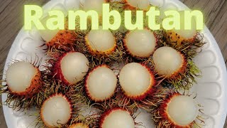 This Is How I Eat Rambutan Fruit [upl. by Giacinta72]