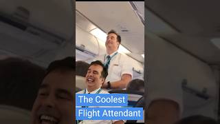 Meet the Coolest Flight Attendant on WestJet [upl. by Shulins509]