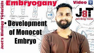 Reproduction in flowering plants monocot embryoganyDevelopment of monocot embryo [upl. by Haywood]