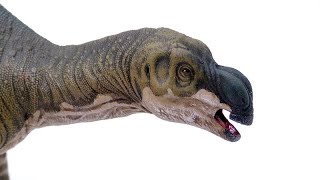 Muttaburrasaurus [upl. by Todd]