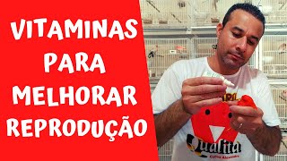 VITAMINAS PARA MELHORAR A REPRODUÇÃO DOS CANÁRIOS [upl. by Tenn]