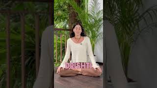 4 Elements of Asana Yoga Sutras part 1 [upl. by Adriaens]