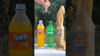 What did Mentos do Big experiment with Fanta Sprite Pepsi [upl. by Matuag]