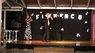 Andalousie Costa Del Sol Flamenco danse Andalouse [upl. by Anoyk691]