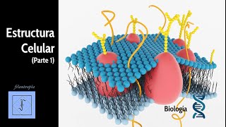 BIOLOGÍA  Moléculas orgánicas presentes en las células y su función [upl. by Mannuela]