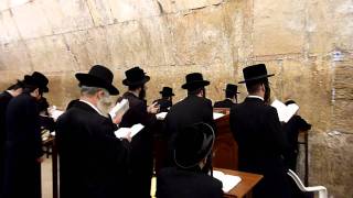 Praying at the Western Wall Jerusalem Israel [upl. by Maynord]