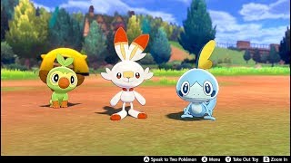 Camping With Grookey Scorbunny amp Sobble For Over An Hour  Pokemon Sword amp Shield [upl. by Lein816]