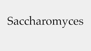 How to Pronounce Saccharomyces [upl. by Tnomal]