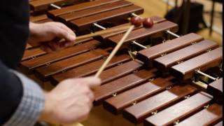 What does a xylophone sound like Scale [upl. by Nylle]