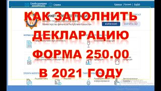 ИНСТРУКЦИЯ как ПРАВИЛЬНО сдать 250 форму для ИП в 2024 году Всеобщее декларирование в Казахстане [upl. by Najed277]