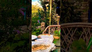 Slow living and cozy garden summer dinner [upl. by Nevla]