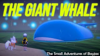 THE GIANT WHALE  Pokémon Shield  The Small Adventures of Bayjax  1 [upl. by Henryetta]