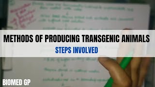 Methods of producing transgenic animals [upl. by Willabella]