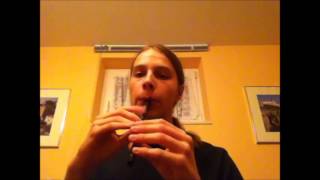 The Rakes of Mallow  Tin Whistle [upl. by Neelahtak]