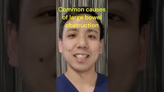 What causes large bowel obstructions doctor medicine surgery bowelobstruction [upl. by Leahcir558]