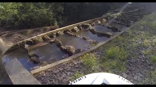 RTA Reserve to Ourimbah Fish Ladder [upl. by Mireille]