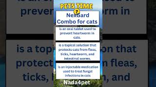 nexgard combo for cats [upl. by Cutty]