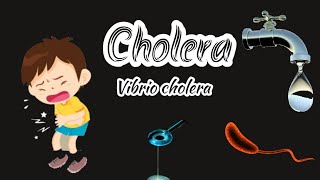 cholera  Introduction  causes  pathogenesis clinical features  diagnosis  treatment questions [upl. by Nanah819]