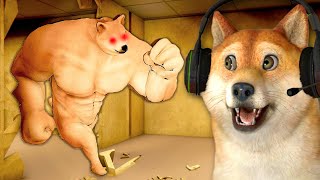 ENFRENTEI O DOGE MAROMBA Buff Doge [upl. by Silliw]