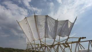 Strandbeest sail in action [upl. by Shanie]