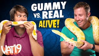 Gummy vs Real Live Animals  VAT19Its Alive  Gummy Vs Real  VAT19 [upl. by Ytinirt]