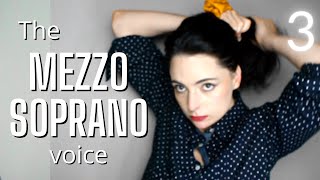 Everything you need to know about the Mezzo Soprano  Opera Voices 3 [upl. by Gemmell]