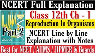 Reproduction in Organisms Class XII NCERT explanation for NEETAIIMSJIPMER amp Boards Part 2 [upl. by Otte679]