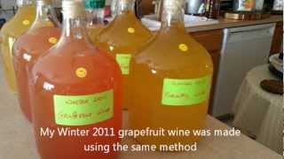 How To Make Pineapple Wine [upl. by Euseibbob775]