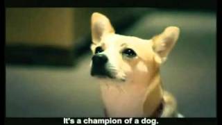 6Funny Dog commercial  Microsoftflv [upl. by Noslrac68]