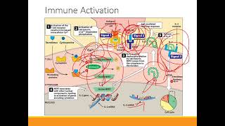 Immunosuppressants [upl. by Leiuqese]