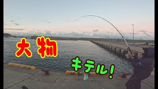 THE フィッシング風 BIGFISH・フライ・サケ・イカ・サゴシ・ソイ・アブラコそしてイクラ [upl. by Babbie]