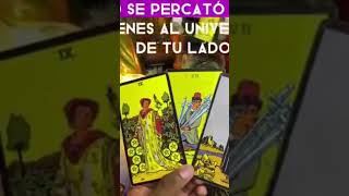 cartas del tarot [upl. by Marsland]