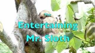 The Entertaining Mr Sloth [upl. by Gotthelf]