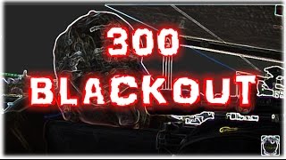 500 Budget AR15 300 Blackout Project Build Overview amp Accuracy [upl. by Furie]